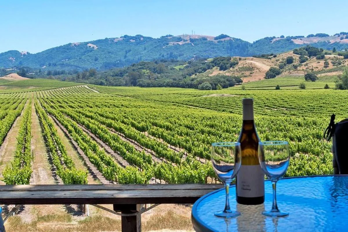 Image of 3 Castles and Wine Tasting Day Tour in Danube Valley from Vienna