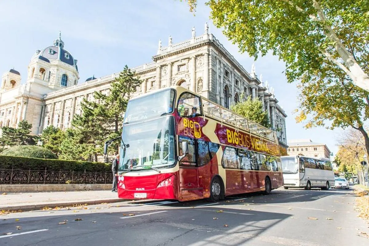 Image of Best of Vienna Pass: Schönbrunn, Belvedere, Big Bus & Cruise