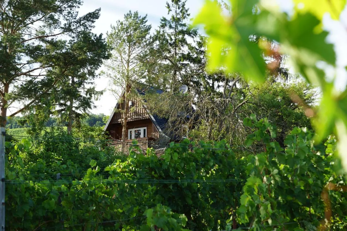 Image 2 of Vacationhome in the vineyards