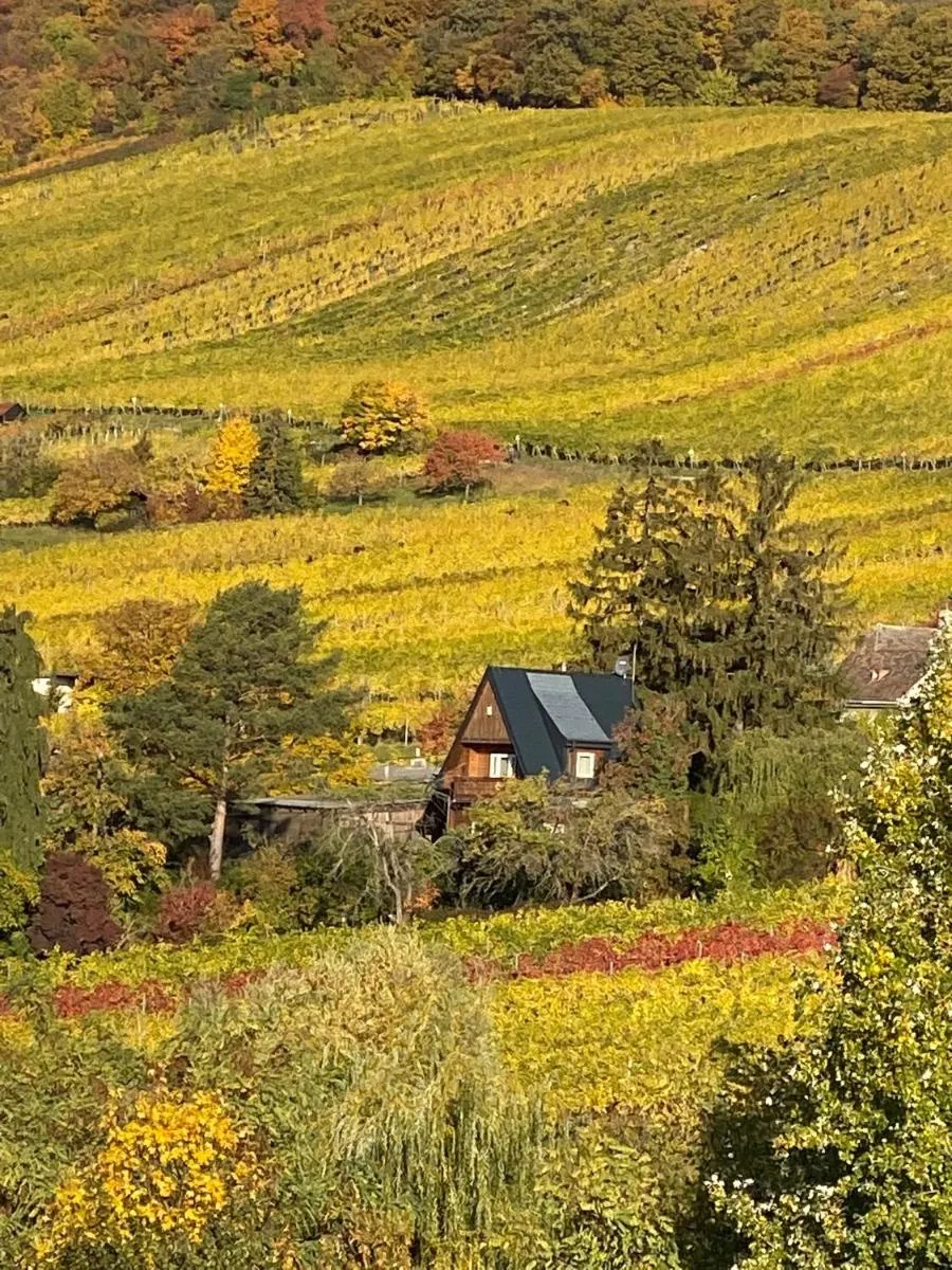 Image 3 of Vacationhome in the vineyards